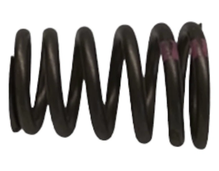 Pontiac Chevrolet Cavalier 1996-2002 Sunfire válvula de resorte 24574092 - nuevo OEM Foto 3 de 4