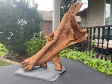 MOUNTED MALAYSIAN WOOD AQUARIUM FISH RIPTILES DECORATION PET SUPPLIES ART GARDEN