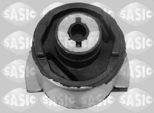 Original SASIC Storage Axle Body 4005528 for Renault