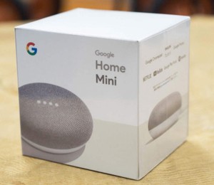 google home speaker ebay