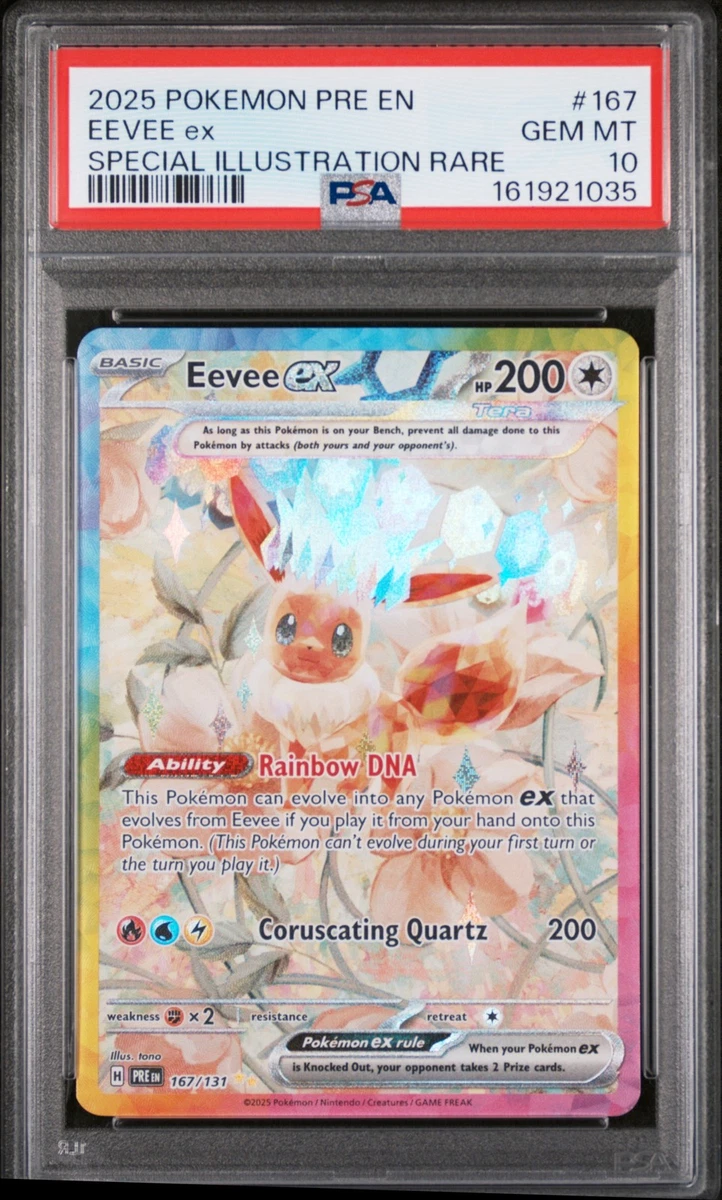 Preços baixos em Eevee Pokémon TCG Autenticador Esportivo
