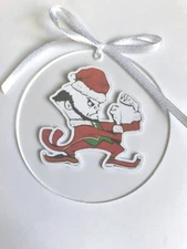 Notre Dame University Ornament Fighting Irish NCAA Football 