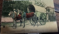 CPA LANDES Attelage de Mules Le Bros Arjuzanx Morcenx F. Bernède Animée