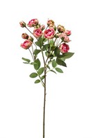 Artplants Dekozweig Rosen Tossa, Pink-GrüN, 55Cm