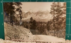 San Francisco Peaks Arizona vintage postcard