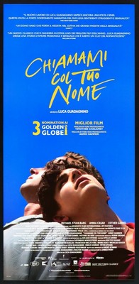Call Me With Your Name Luca Guadagnino Timothee Chalamet Cinema L17 Ebay