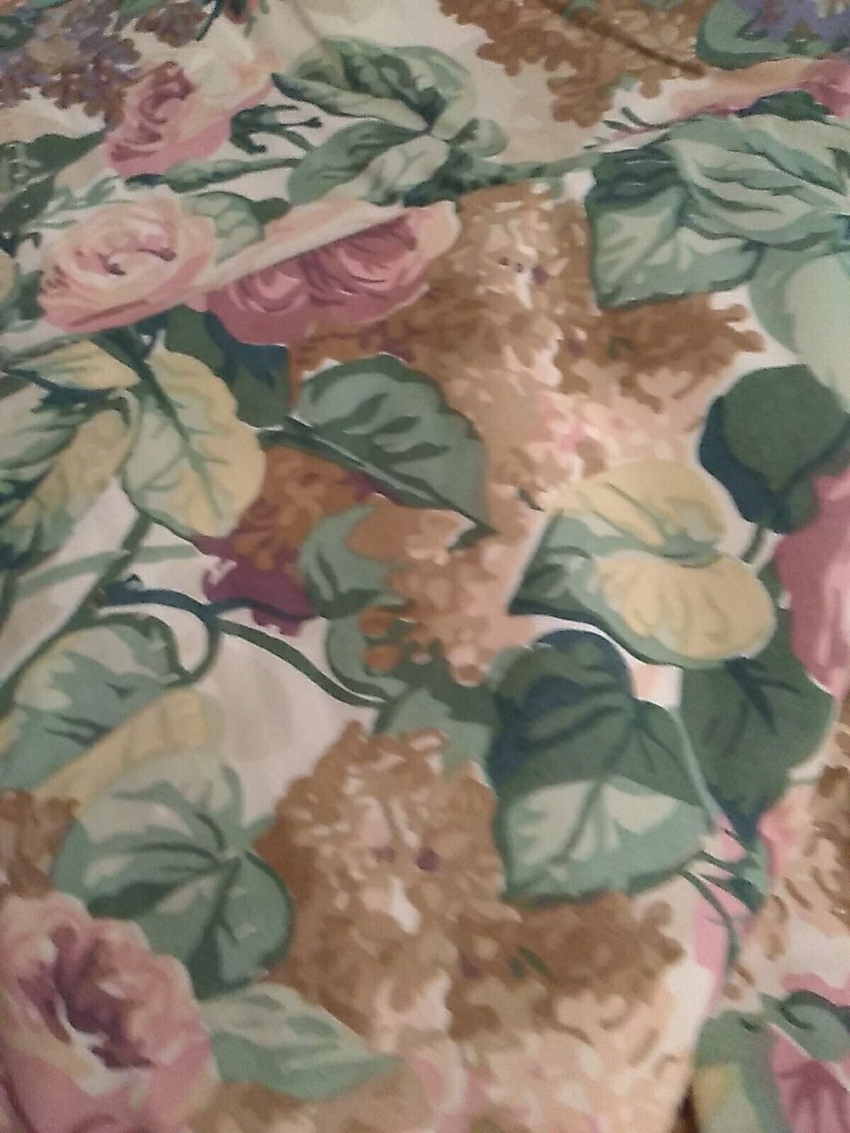 Picture 3 of 12