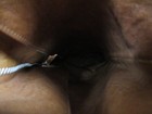 Foto 12 di 12