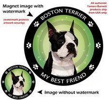 Boston Terrier My Best Friend Dog Car Magnet
