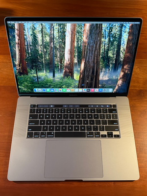 Apple MacBook Pro 16'' (1TB SSD, Intel Core i9 9th Gen, 16GB RAM, AMD GPU) Laptop