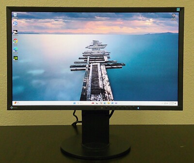 Eizo FlexScan 23  FHD 1920x1080 IPS LED Monitor 16:9 DP VGA DVI 60Hz USB 2.0 Hub