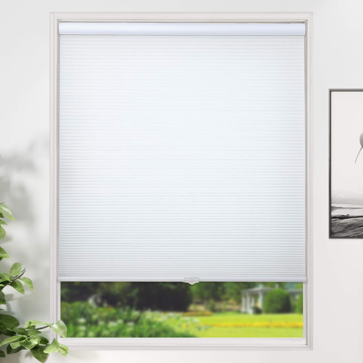 Cordless Honeycomb Blinds Light Filtering Window Shad...