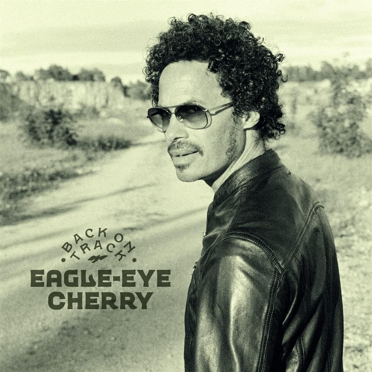 Альбом Eagle-Eye Cherry Back On Track (CD)