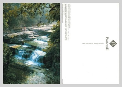 Postkarte - Aysgarth Falls River Ure North Yorkshire unbesendet