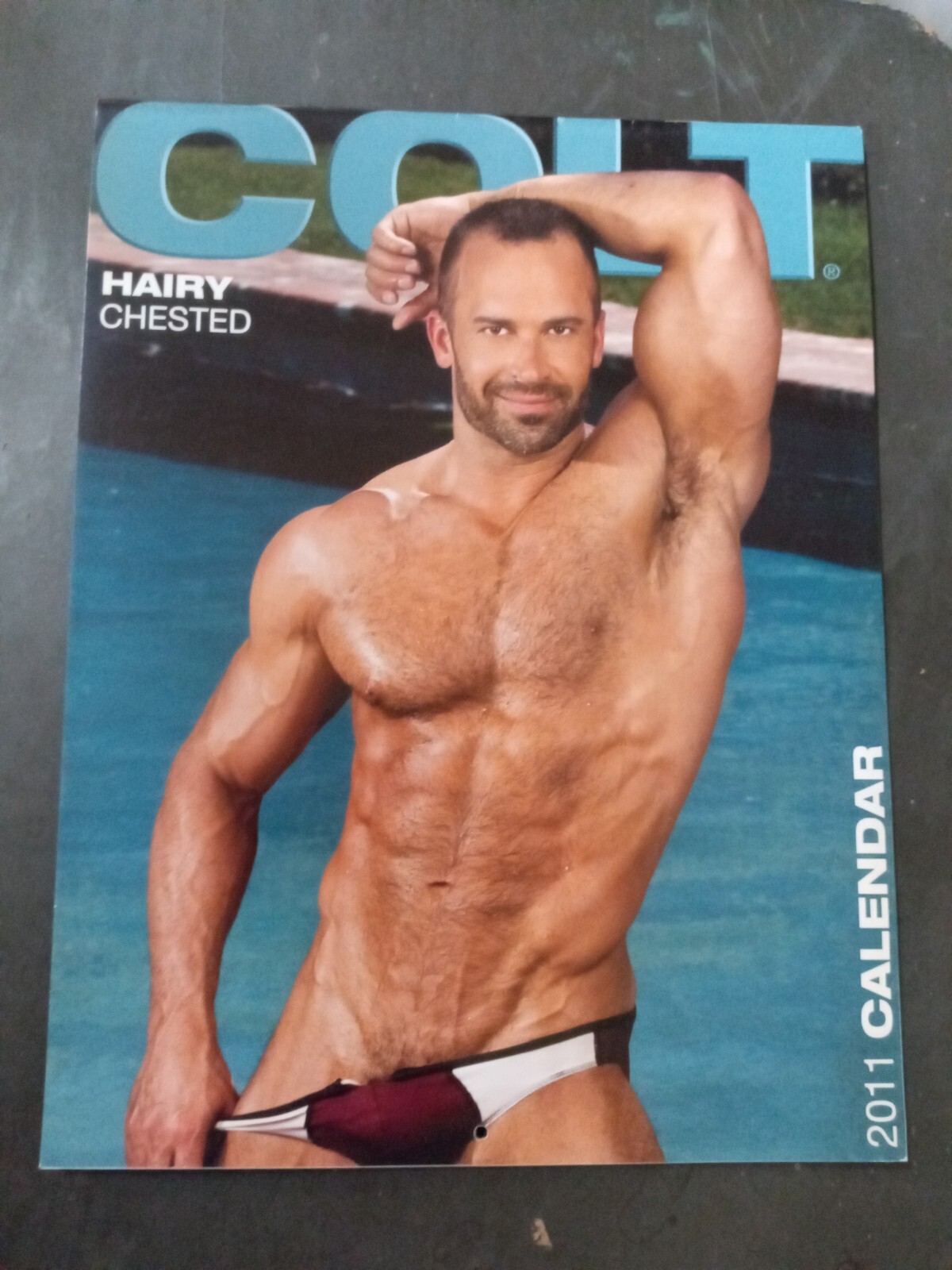 COLT STUDIOS 2011 HAIRY CHESTED MEN CALENDAR - GREAT  USED CONDITION