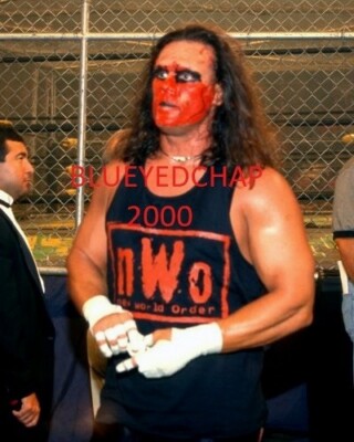 STING WRESTLER 8 X1 0 WRESTLING PHOTO WCW | eBay