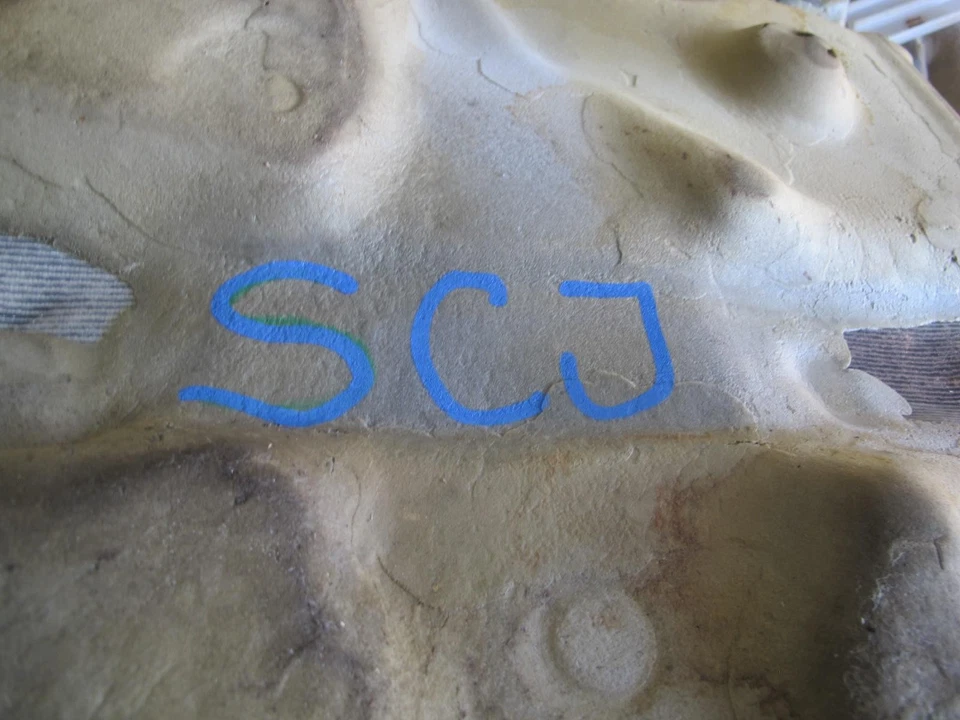 92-00 LEXUS JZZ31L SC400 SC300 CUBIERTA DE REVESTIMIENTO DE ALFOMBRA DE PISO MARFIL OEM Foto 2 de 4