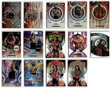 Roman Reigns Ultimate Warrior 2025 Topps Universe WWE 14 Cards Lots [bmzB11