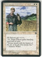 Homelands Soraya the Falconer