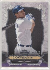 2014 Topps Triple Threads Amethyst 178/325 Ian Kinsler #83 00jz