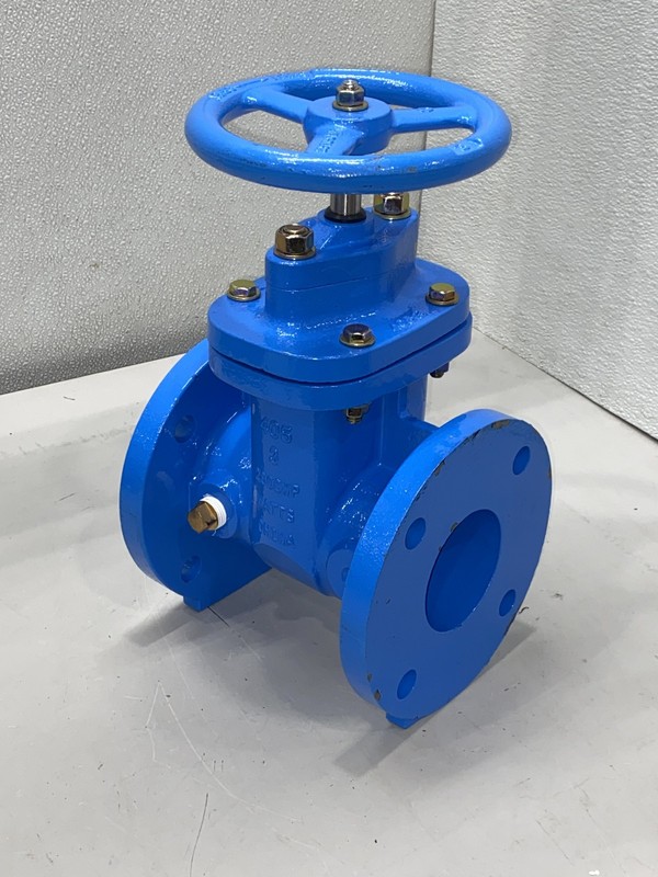 Watts 3" 405-NRS-RW Cast Iron Gate Valve Flanged Resilient Wedge 200 PSI 0700104