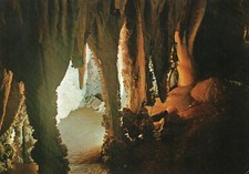 13365 Cartolina Toirano (SV) Grotte di Toirano, Sale degli Alabastri NV