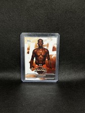 Anderson Silva Cards and Autographed Memorabilia Guide 13