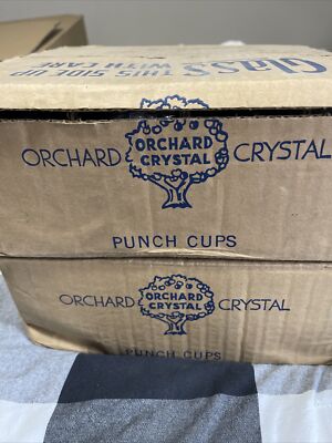 Set 12 Hazel Orchard Crystal Bubble Square Footed Punch Cups Original Box MCM