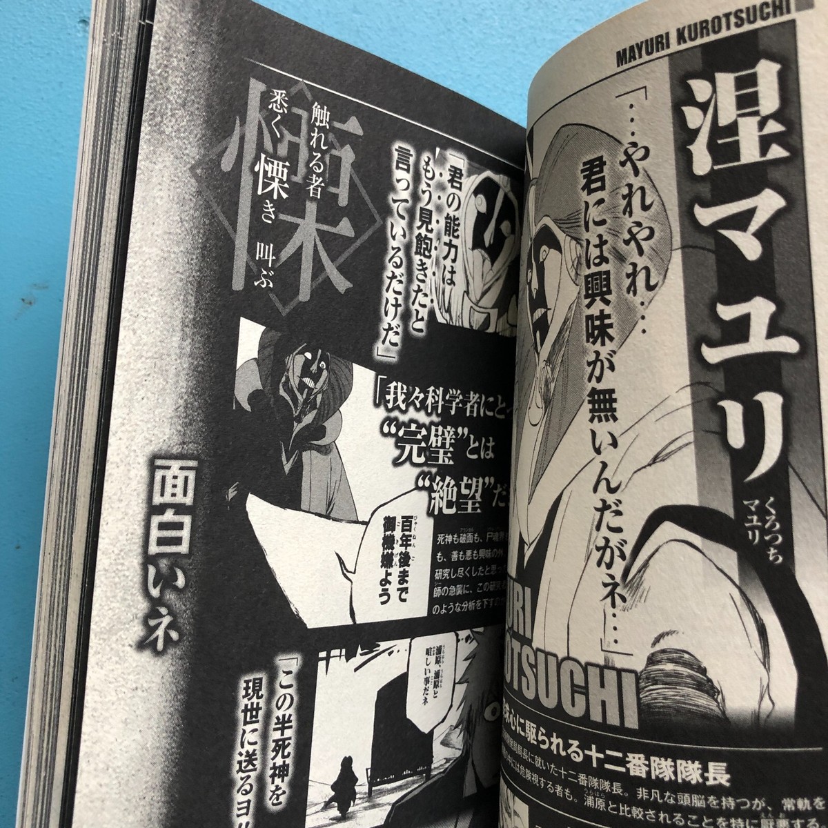 The Rebooted Souls BLEACH Kubotite Fan Guide Book Japanese The Rebooted Souls BLEACH Kubotite Fan Guide Book Japanese