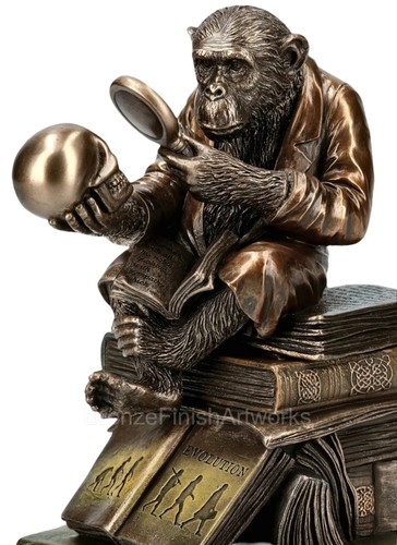 Monkey on Skull Darwinism of Evolutionary Theory Figurine Jewelry Box - Picture 8 of 8