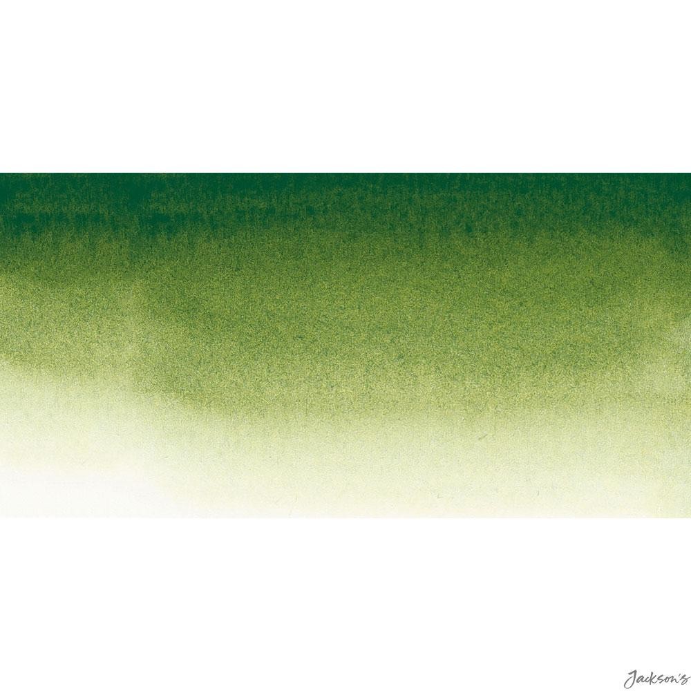 Sennelier L'Aquarelle Watercolour Paint Tube 21ml Sap Green For Artists