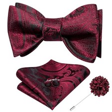 Self Tie Bow Ties and Lapel Pin for Men Paisley Solid Mens Black Burgundy
