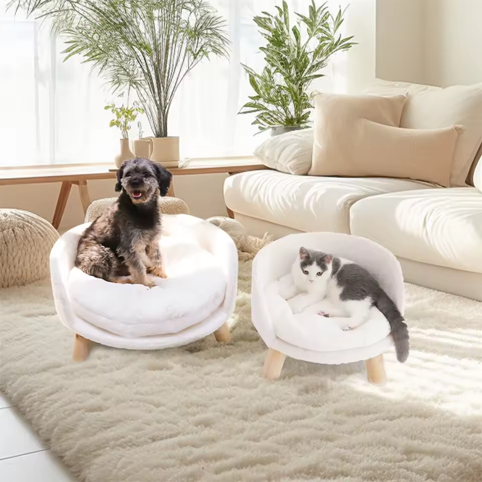 Couchage chat bois et petit chien sofa orthopédique déhoussable