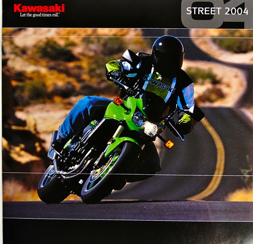 Kawasaki 2004 Street Motorcycles  Z1000, ZRX1200, ZZR1200, ZZR600 Sales Brochure