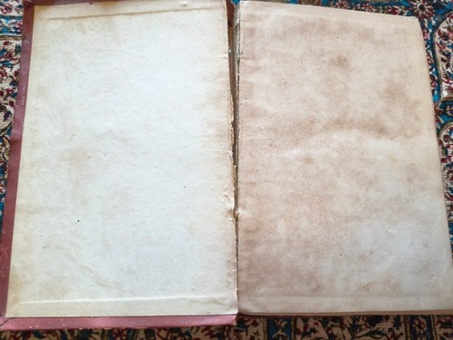 MANUALI HOEPLI / AGRONOMIA / F. CAREGA DI MURICCE / ULRICO HOEPLI 1879 (R42) - Foto 4 di 17