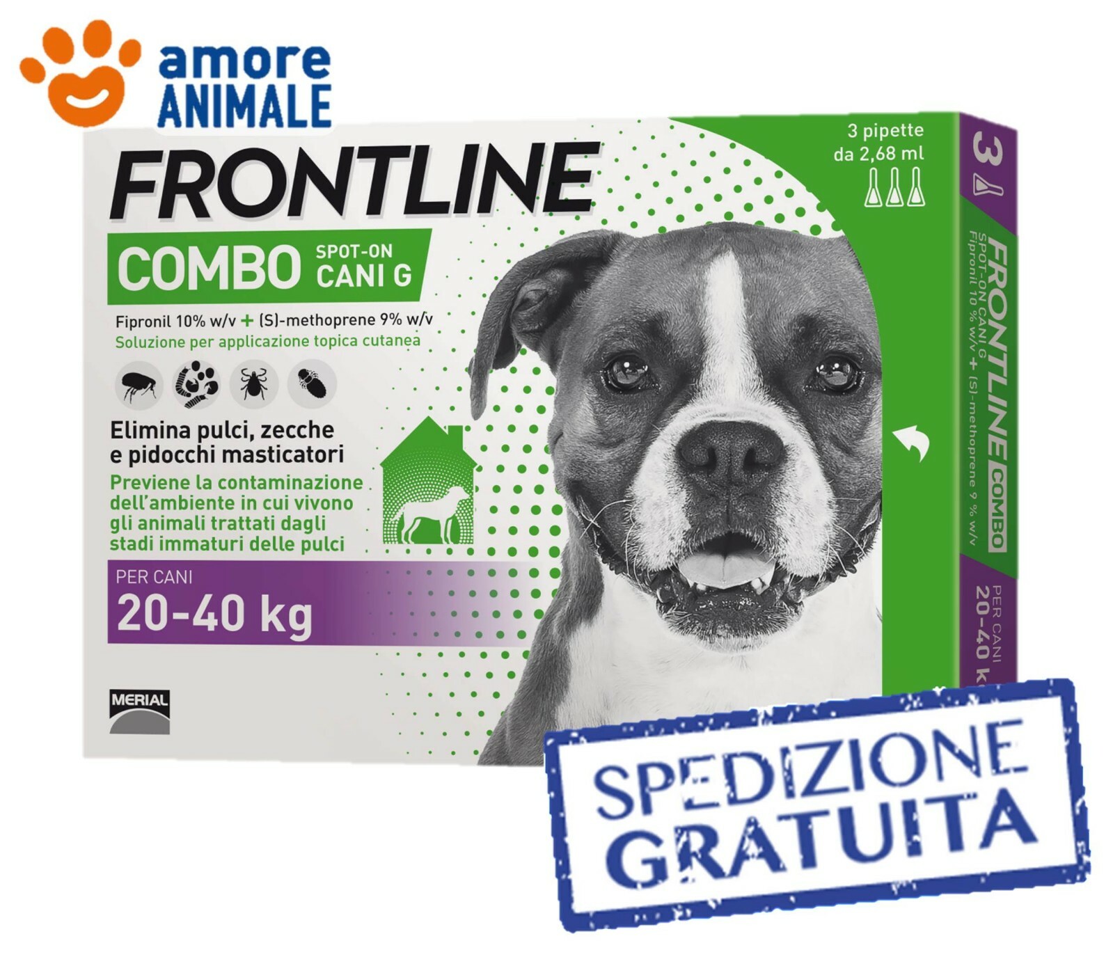 Foto 2 di 3