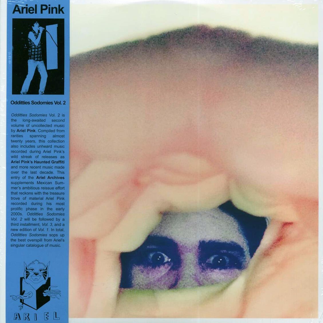 ВИНИЛОВЫЕ граффити Ariel Pinks Huanted - Странности и Содомия, Том 2