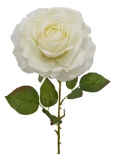 Artificial White Color RT Bella Rose 66cm For Wedding & Home Party Decor