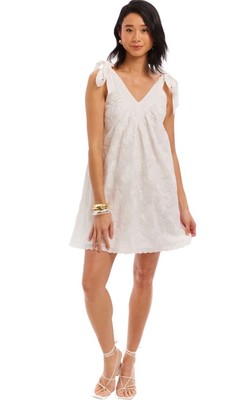 allison new york embroidered dress Allison New York Women's Embroidered Drop Waist Dress main image 1