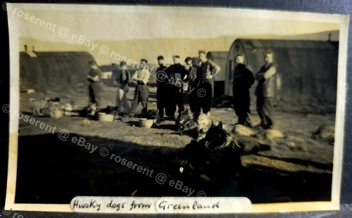 WW2 Iceland - Eskimo Dog teams from Greenland  #2- Soldiers photo 11 by 8cm