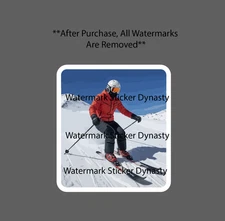 Skiing Sticker Waterproof Decal Skier Mountain Winter Sports Snow Alp Gift NEW