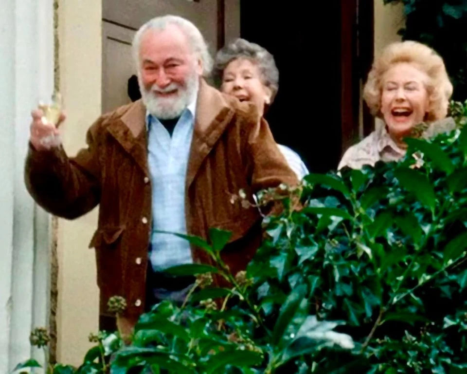 Alte Gauner * DVD komplette 8-teilige Serie mit erstklassiger Besetzung * Pidax - Bild 4 von 4