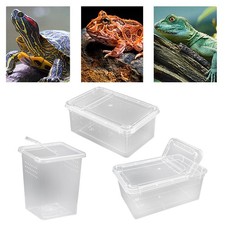 Reptile Feeding Box with Cover Terrarium for Scorpions Scorpion Hermit Crabs