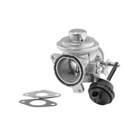 AGR Ventil Borg Warner 7293D