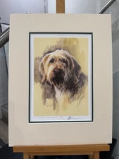 Mick Cawston - Spinone Head Study The Hairy One  - Mounted (In Stock)