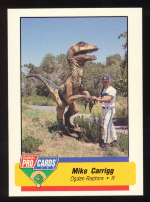 Choose Your Minor League Player Card Lot - Last Name Starts with C   (C2)