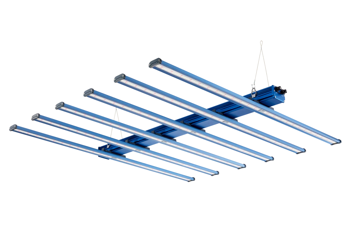 Maxibright daylight led 660w on sale yield