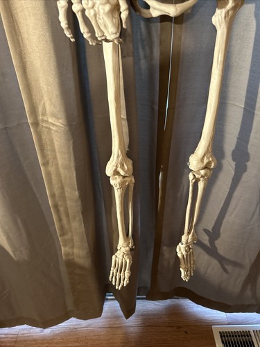 5 Foot ft Poseable Skeleton (1) SINGLE Halloween Decoration New Condition in Box - Picture 7 of 13