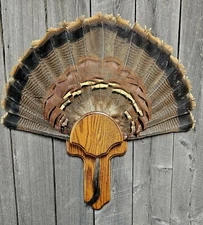 OAK TURKEY TAIL FAN PANEL TROPHY PLAQUE  TAXIDERMY DISPLAY
