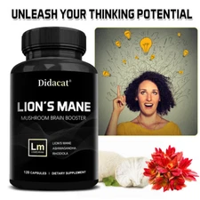 Lion Mane Mushrooms Capsules Memory Nerve Support 30 To 120 Capsules